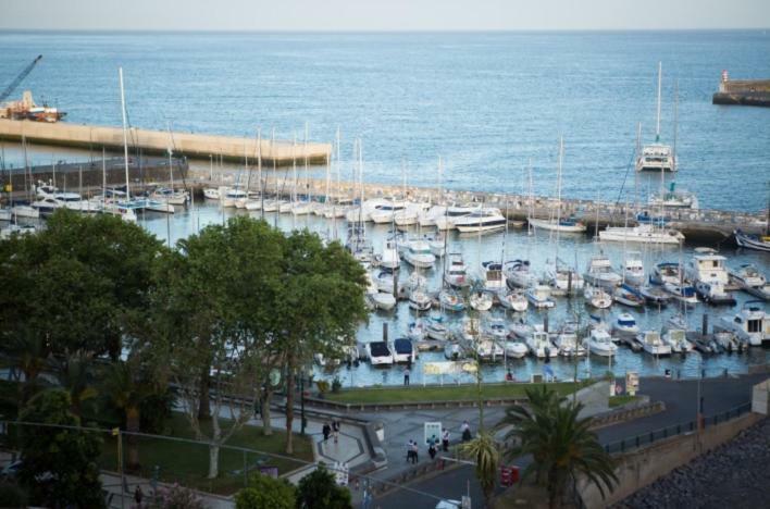 Apartment W Stunning View - Marina - Free Parking & Ac Funchal  Luaran gambar