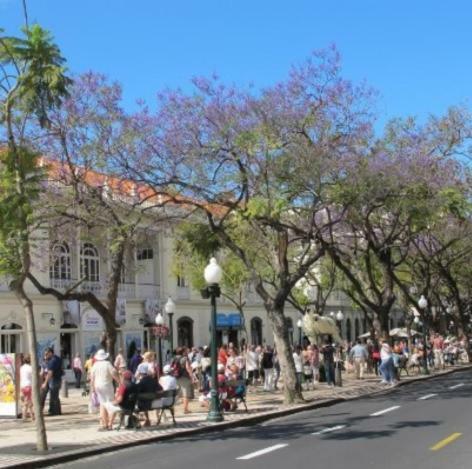 Apartment W Stunning View - Marina - Free Parking & Ac Funchal  Luaran gambar